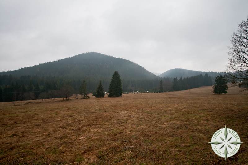 S Homol soused i bezejmenn vrch (1008 m).<br> Oba vrcholy rozdluje v hlubokm dol Vltavsk potok